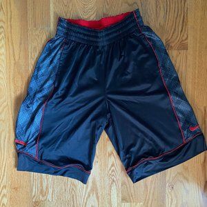 Vintage Nike/Lebron Basketball Shorts - M